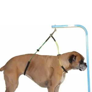 Grooming Double Rope Cat For Noose Loop